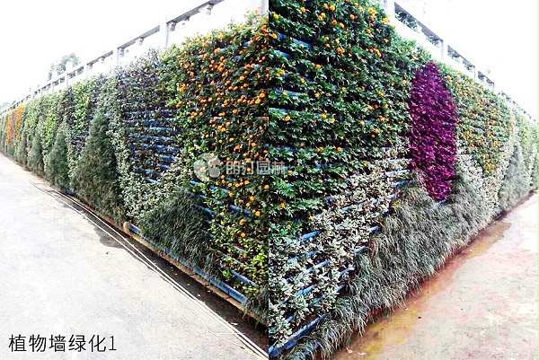 梯形花盆植物墙绿化