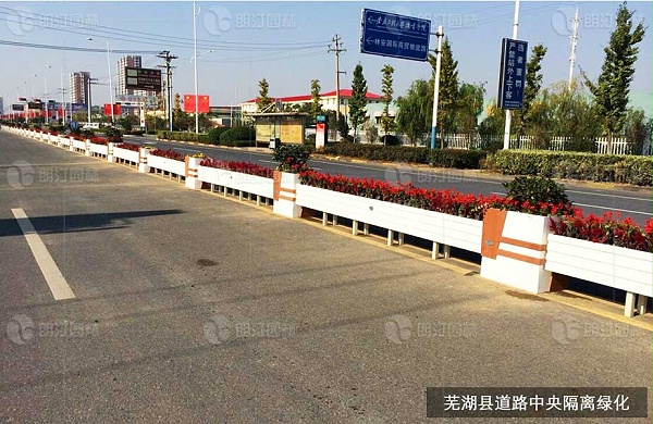芜湖道路中央隔离绿化案例