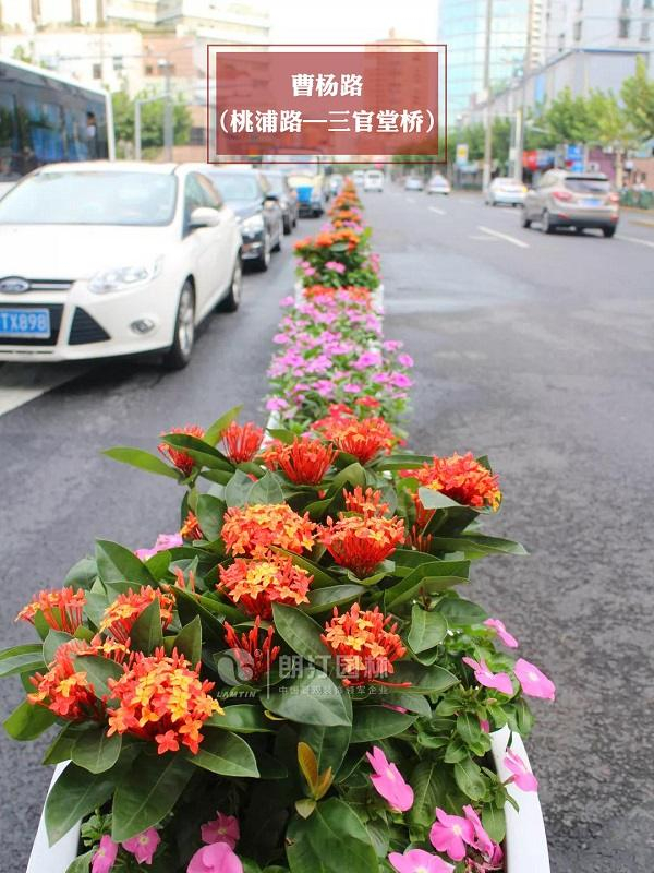 上海进博会道路绿化花箱-弧形马槽艺术花箱