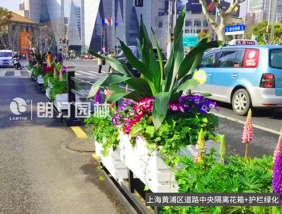 上海黄浦区道路隔离绿化