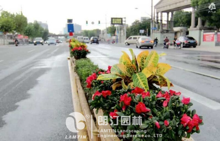 上海大渡河道路隔离花箱
