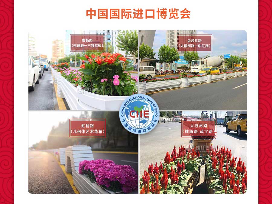 中国国际进口博览会道路绿化