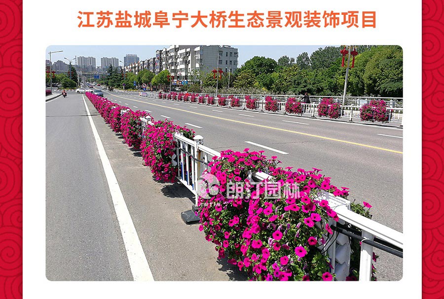 江苏新阜宁大桥护栏绿化