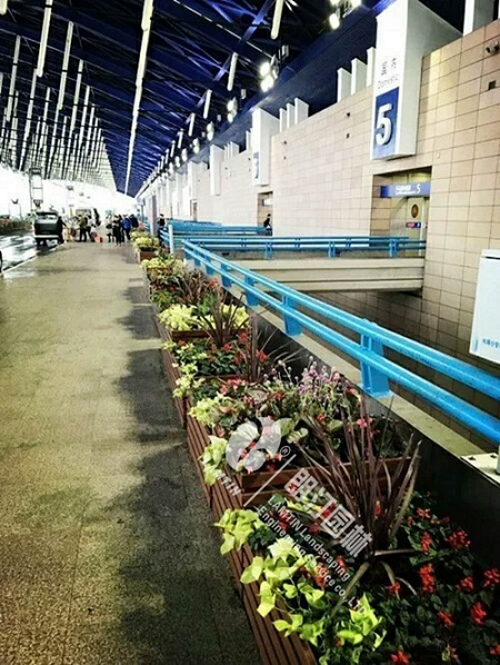 浦东机场在朗汀园林采购隔离花箱