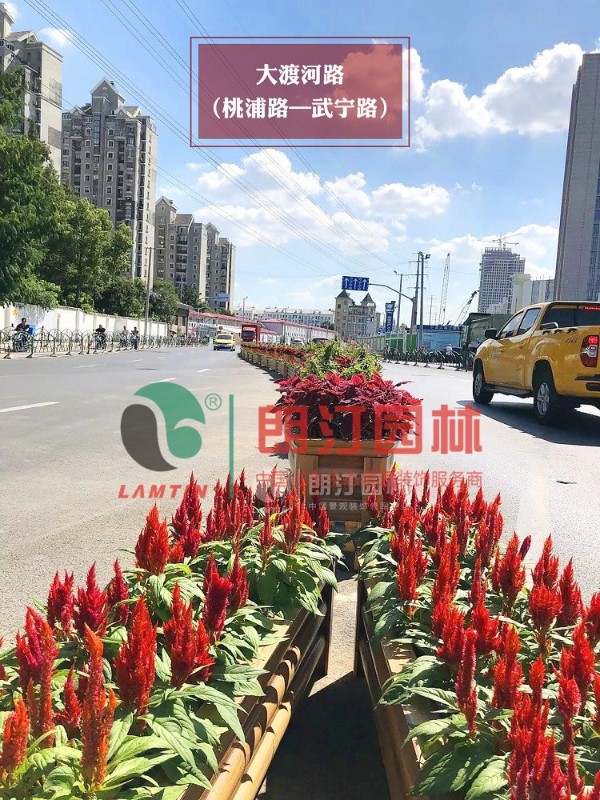 上海普陀区道路景观装饰工程