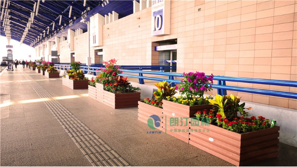 上海浦东机场花箱绿化，将中国立体绿化推向世界